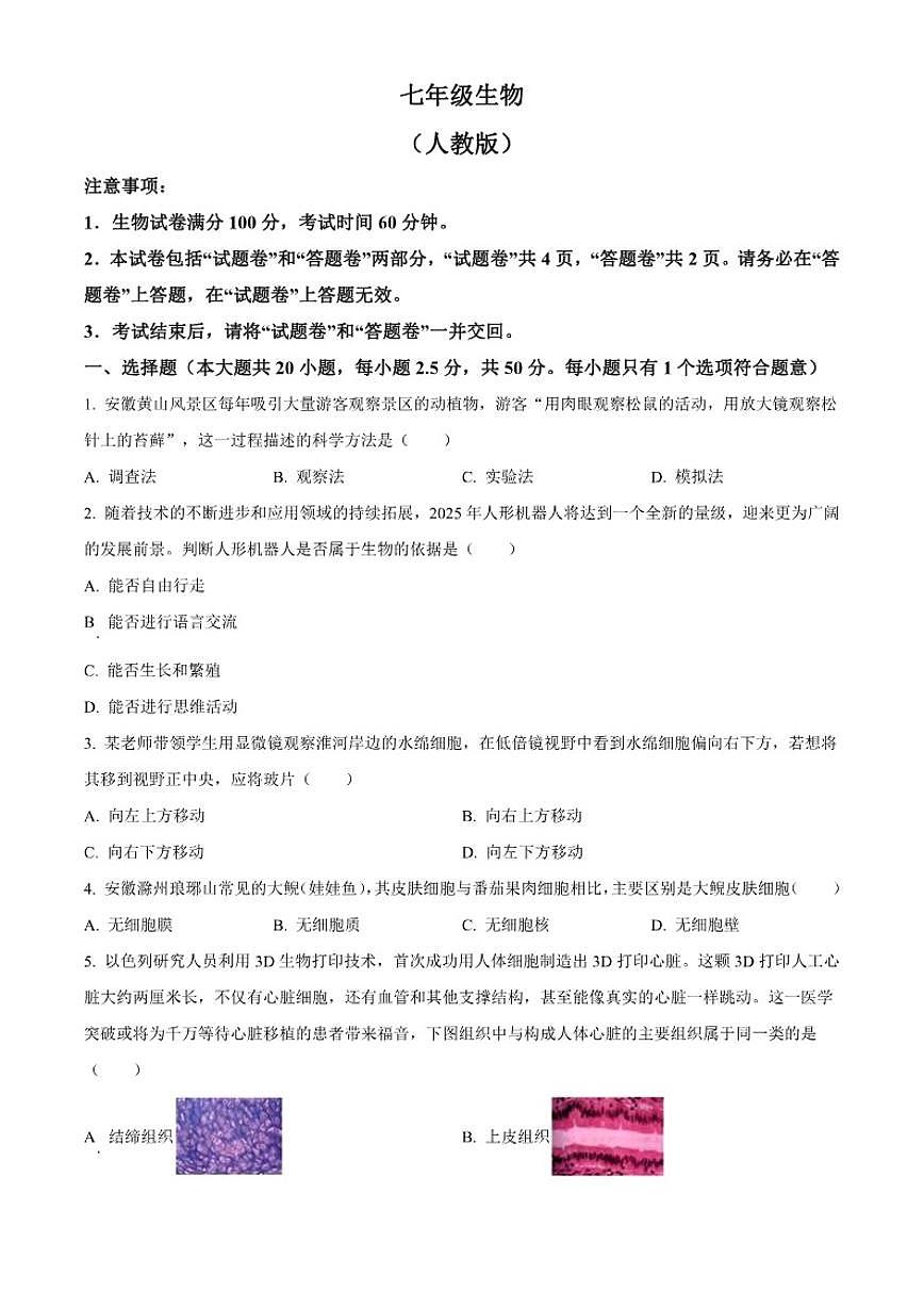 2025-2026学年安徽省蚌埠市蚌山区七年级上学期期末生物学（无答案）试题第1页