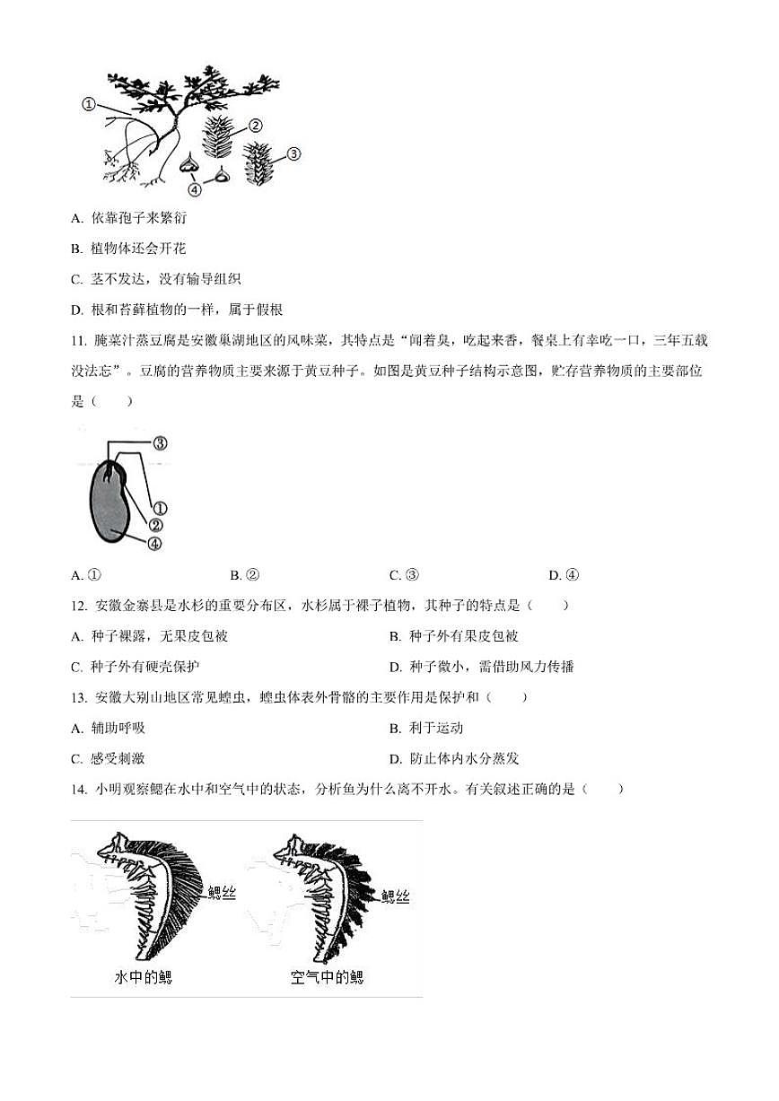 2025-2026学年安徽省蚌埠市蚌山区七年级上学期期末生物学（无答案）试题第3页