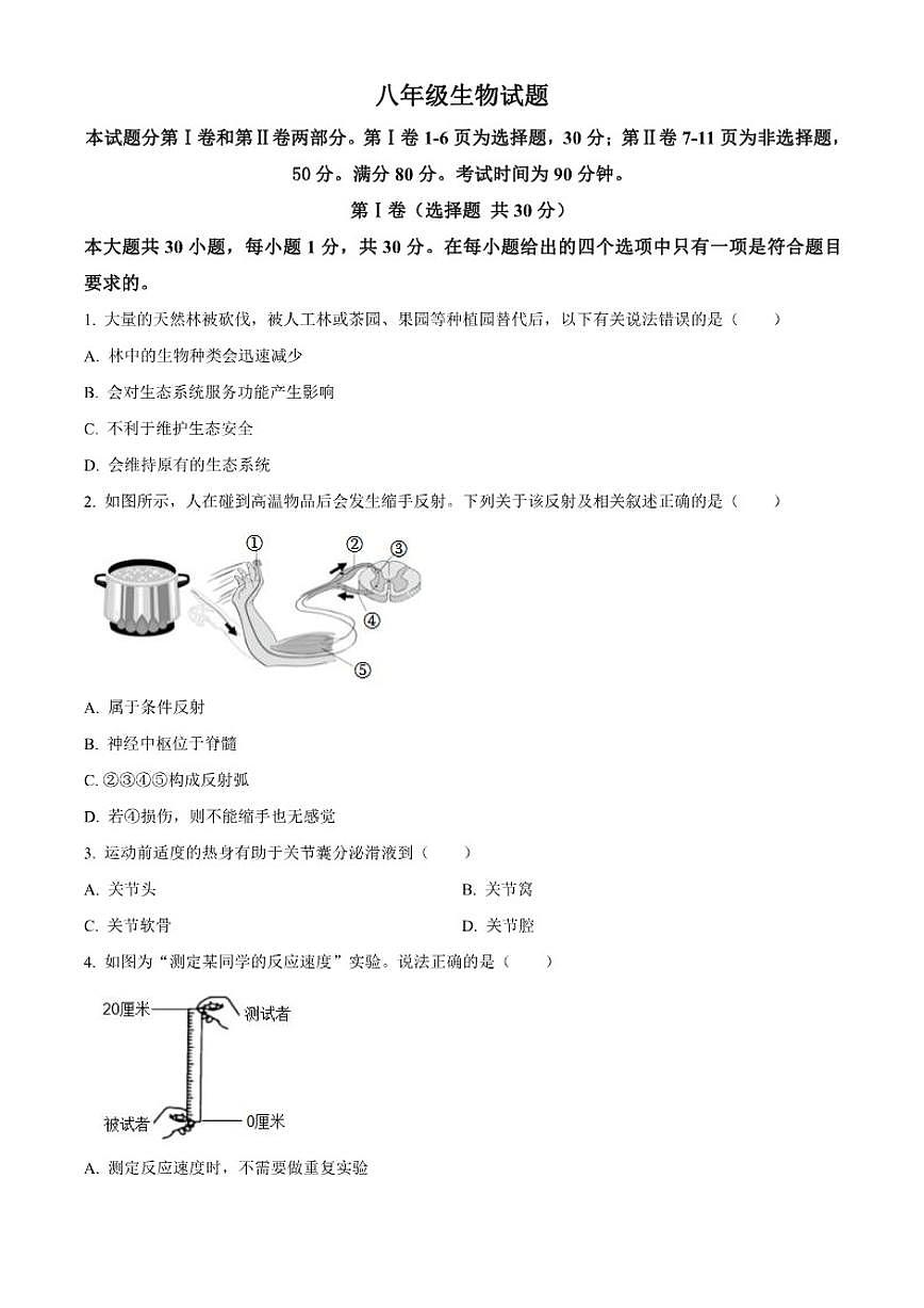 2025-2026学年山东省青岛市崂山区八年级上学期期末生物学（无答案）试题第1页