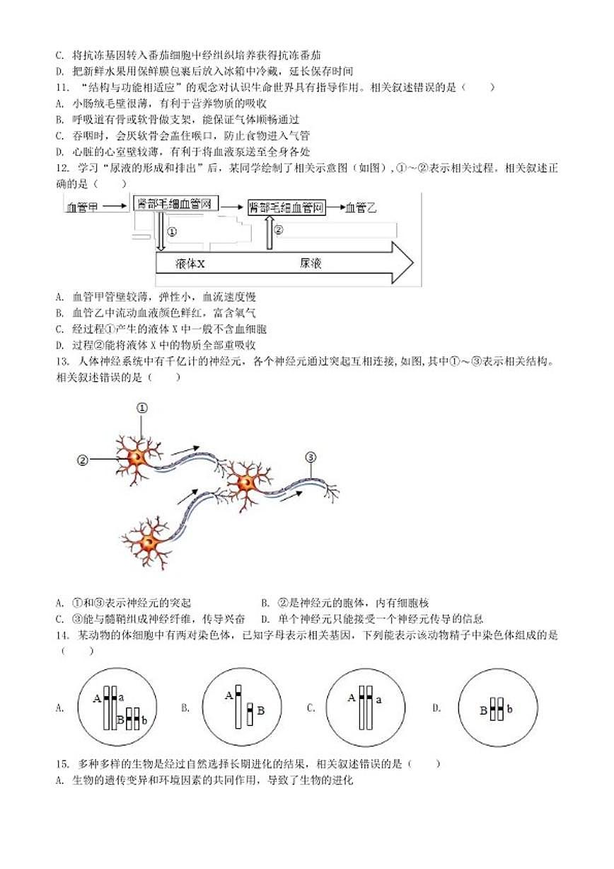 2025-2026学年江苏省南通市海安市八年级上学期期末生物学（无答案）试题第3页