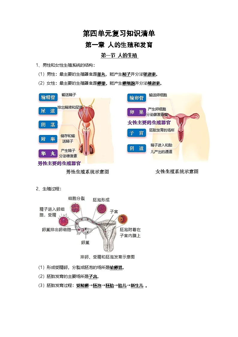 第四单元 人体生理与健康（一）（知识清单）初中生物人教版（2024）七年级下册第1页