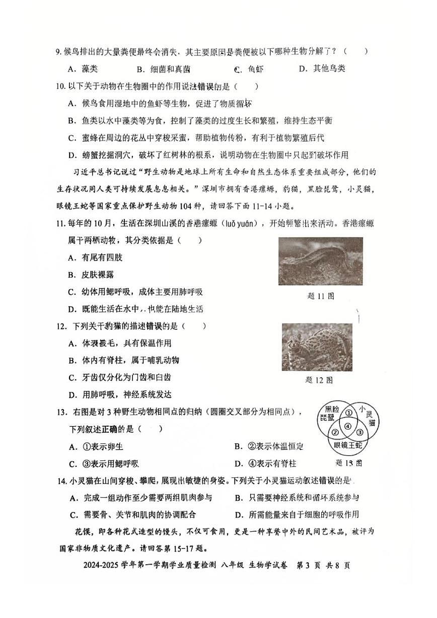 2024-2025学年广东省深圳市罗湖区八年级上学期期末生物试题（含答案）第3页