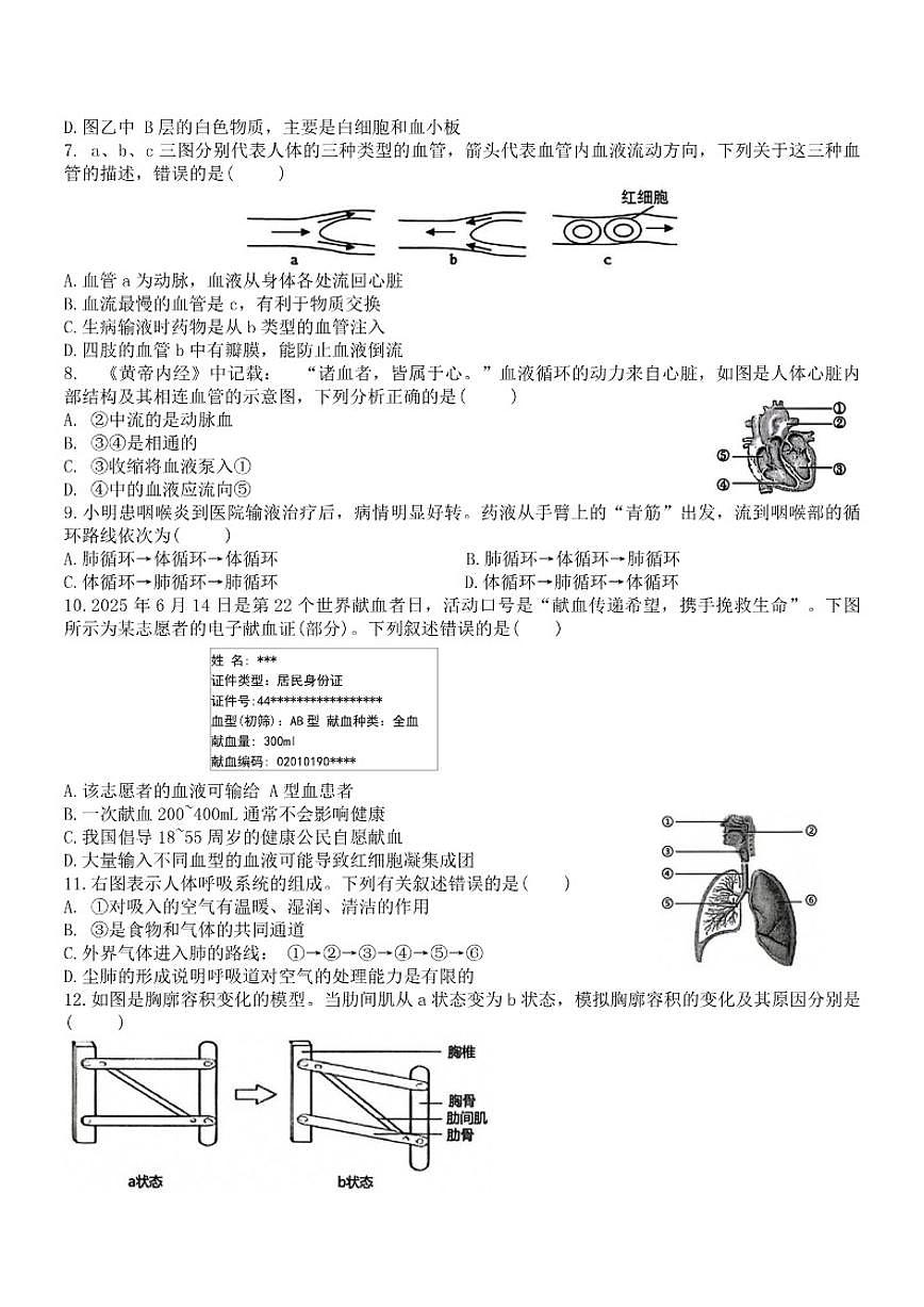 云南省文山壮族苗族自治州2025--2026学年八年级上学期期末质量检测生物试题（含答案）第2页