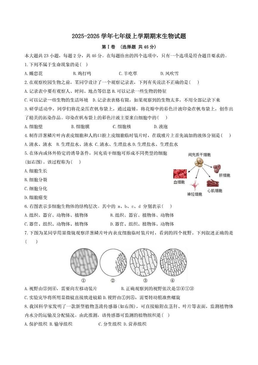 2025-2026学年天津市红桥区七年级上学期期末生物试题（含答案）第1页