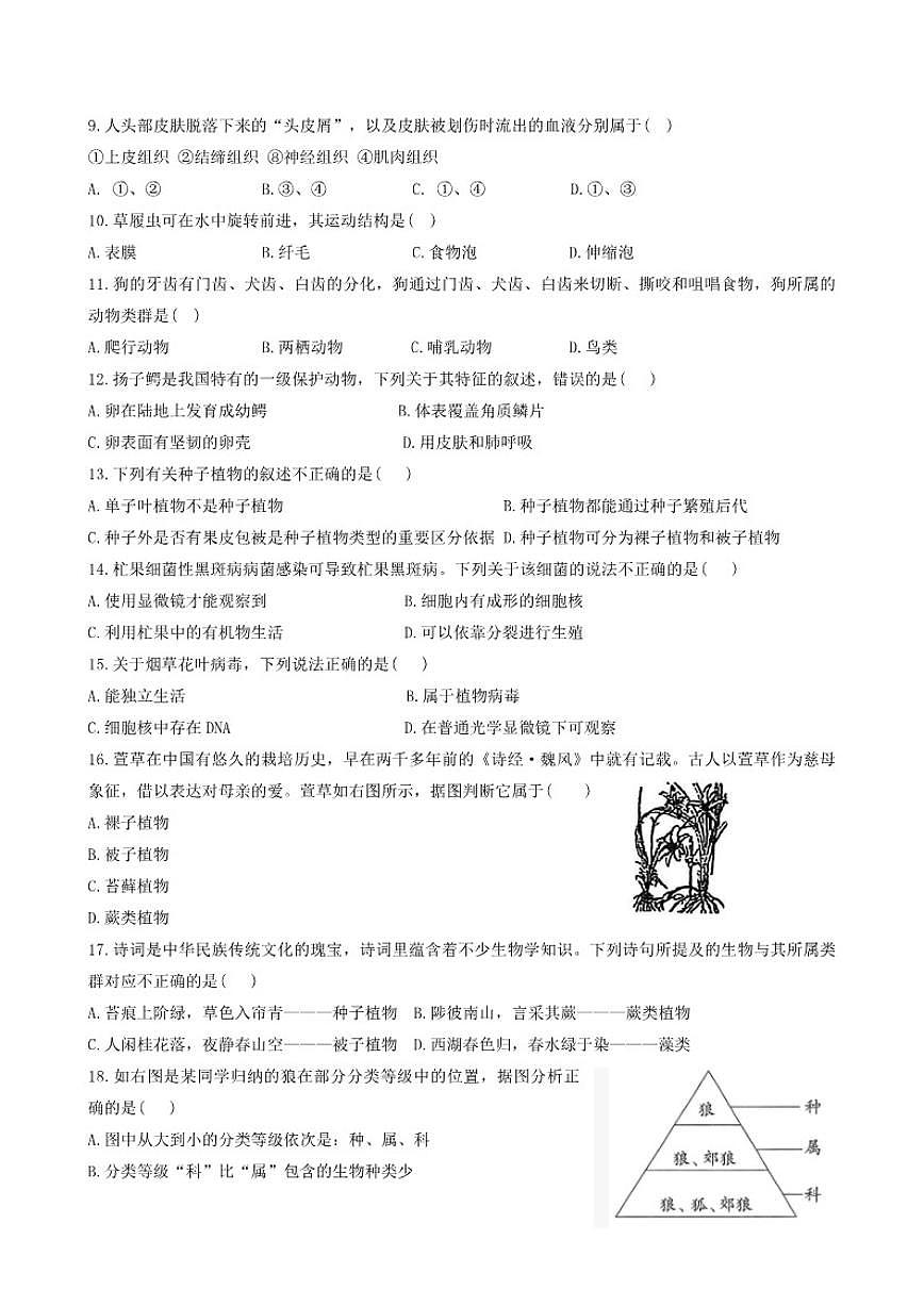 2025-2026学年天津市红桥区七年级上学期期末生物试题（含答案）第2页