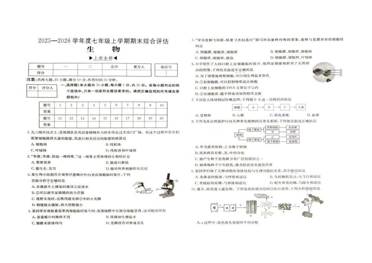 2025-2026学年河南省周口市商水县五校联考七年级上学期1月期末生物试题（含答案）第1页