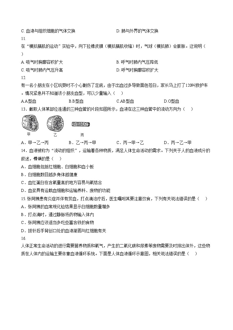 河南省南阳市桐柏县思源教育集团思源学校、育英学校2025_2026学年八年级上学期12月月考生物试题（图片版，含答案）第2页