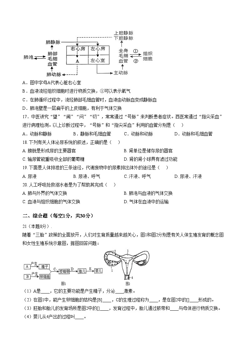 河南省南阳市桐柏县思源教育集团思源学校、育英学校2025_2026学年八年级上学期12月月考生物试题（图片版，含答案）第3页