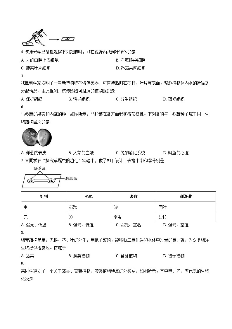 广东省中山市2025__2026学年七年级上学期期末生物试题(文字版含答案)第2页