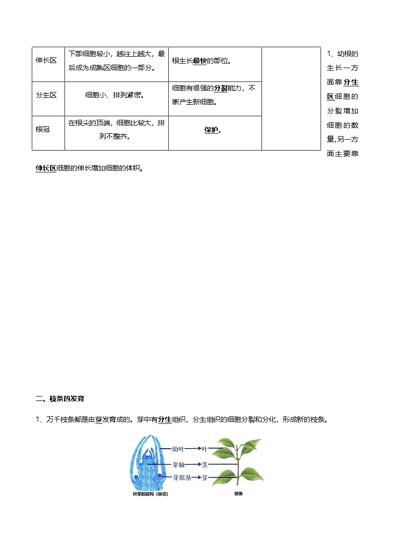2025新人教版生物七年级下册知识点复习第2页