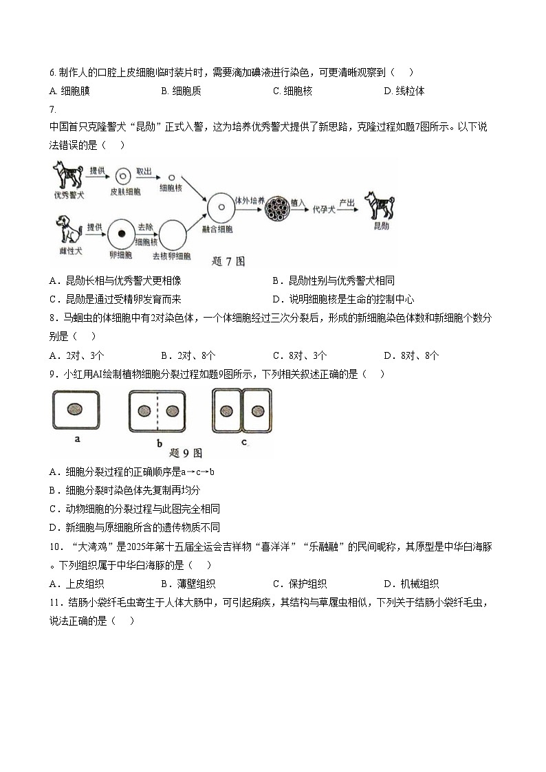 广东省佛山市南海区2025_2026学年七年级上学期期末测试生物试题(图片版含答案含答题卡)第2页