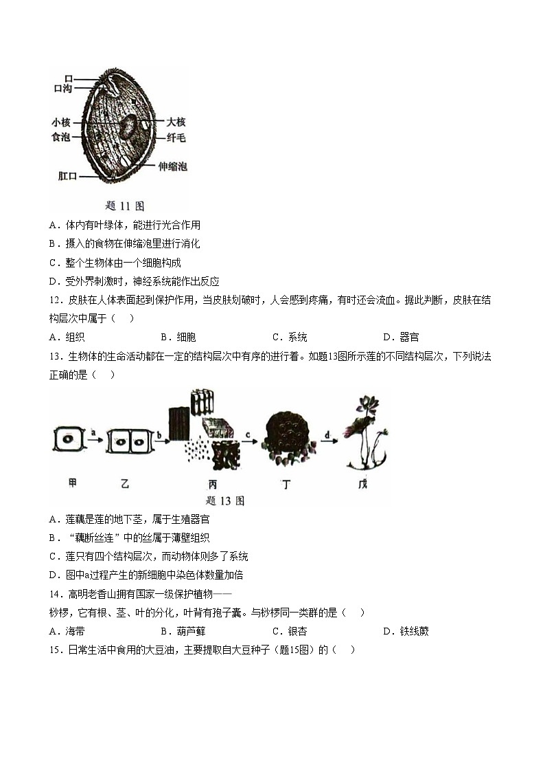 广东省佛山市南海区2025_2026学年七年级上学期期末测试生物试题(图片版含答案含答题卡)第3页