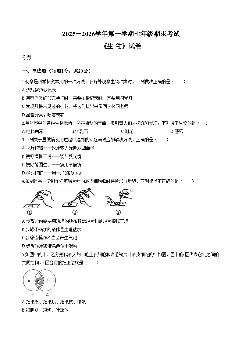 河南师范大学附属中学等校2025_2026学年第一学期七年级期末考试生物试卷（文字版，含答案，含答题卡）第1页