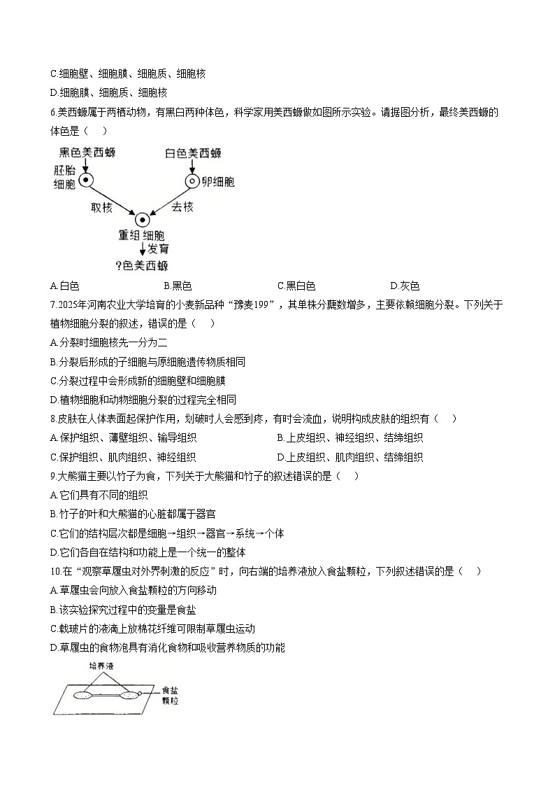河南师范大学附属中学等校2025_2026学年第一学期七年级期末考试生物试卷（文字版，含答案，含答题卡）第2页