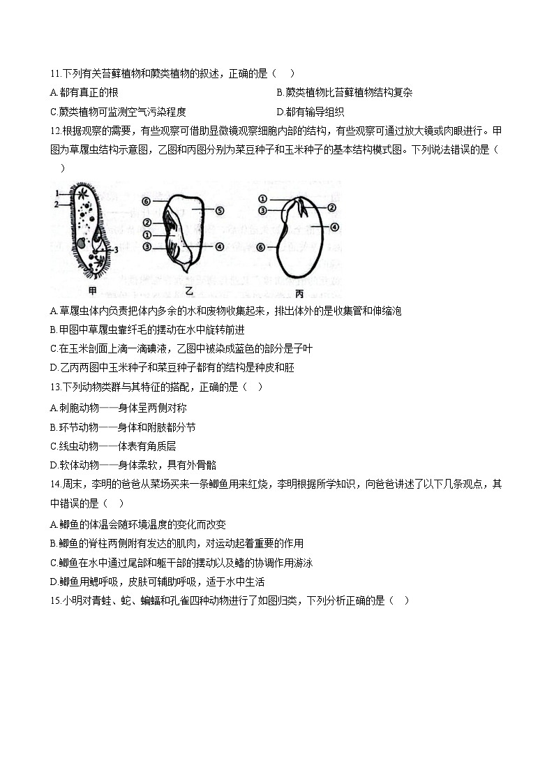 河南师范大学附属中学等校2025_2026学年第一学期七年级期末考试生物试卷（文字版，含答案，含答题卡）第3页