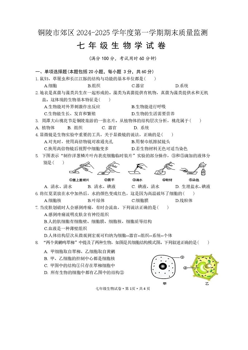 【7生（RJ）期末】铜陵市郊区2024-2025学年度第一学期期末质量监测七年级生物学试卷第1页
