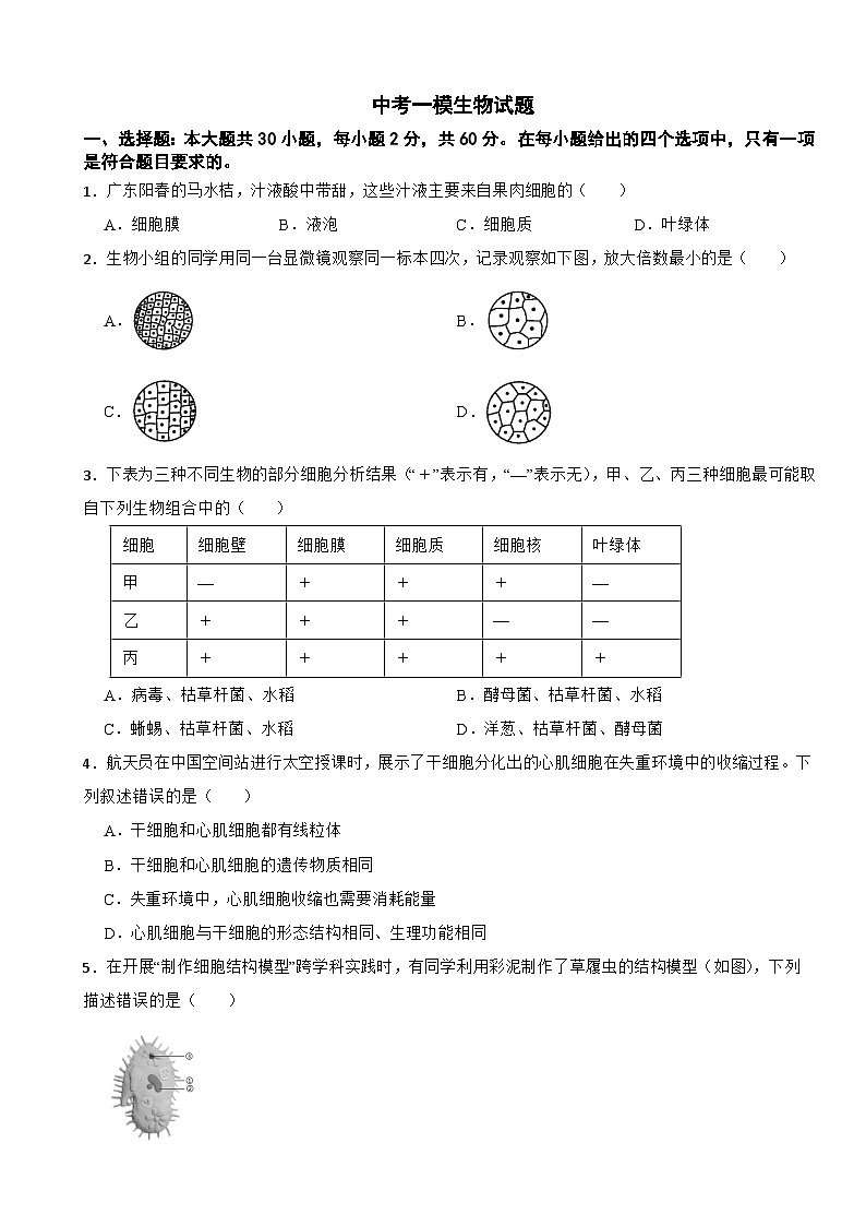 广东省阳江市阳西县2026年中考一模生物试题附答案第1页