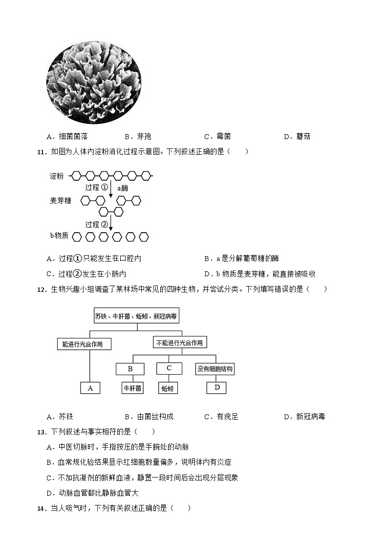 湖南省郴州市2026年中考一模生物试题附答案第3页