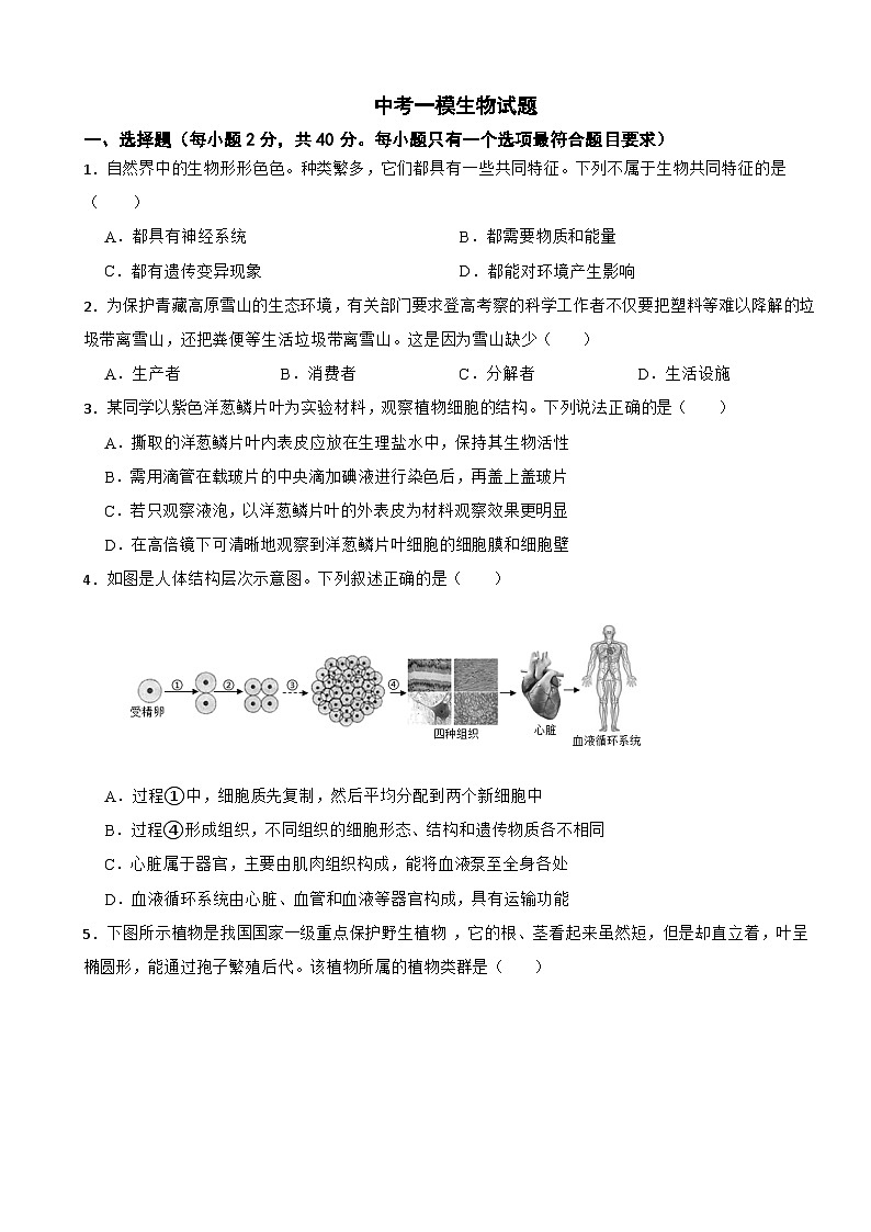 四川省绵阳市游仙区2026年中考一模生物试题附答案第1页