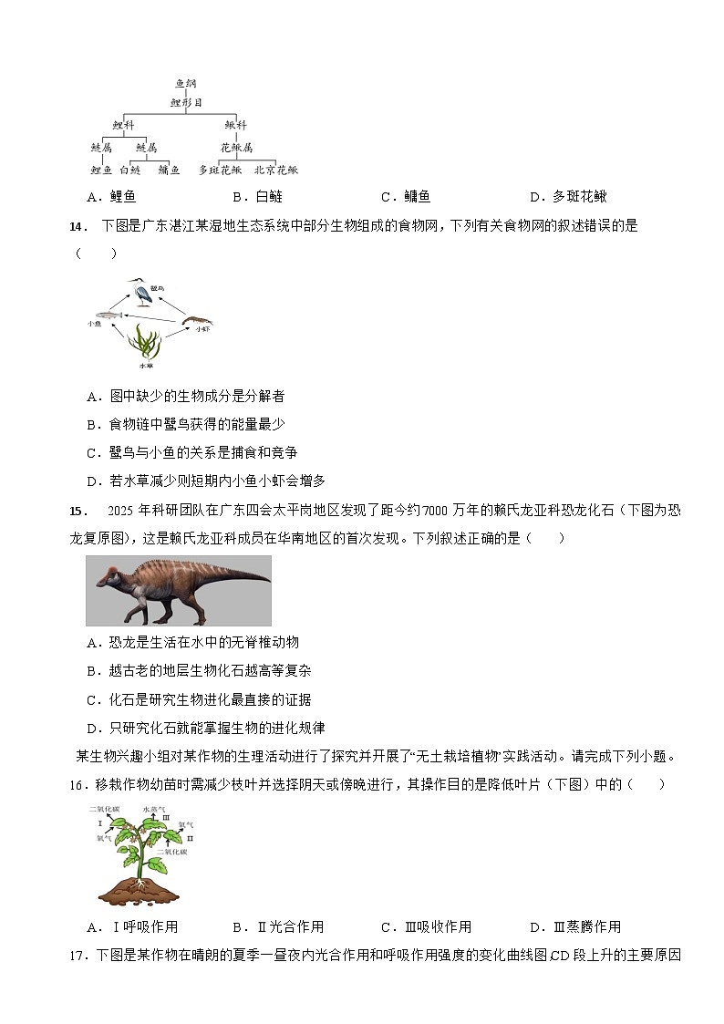广东省湛江市2026年中考一模生物试题附答案第3页
