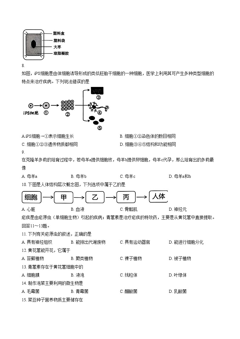 福建省漳州市长泰区2025_2026学年七年级上学期期末考试生物学试卷（扫描版，含答案）第2页