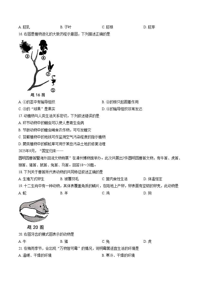 福建省漳州市长泰区2025_2026学年七年级上学期期末考试生物学试卷（扫描版，含答案）第3页