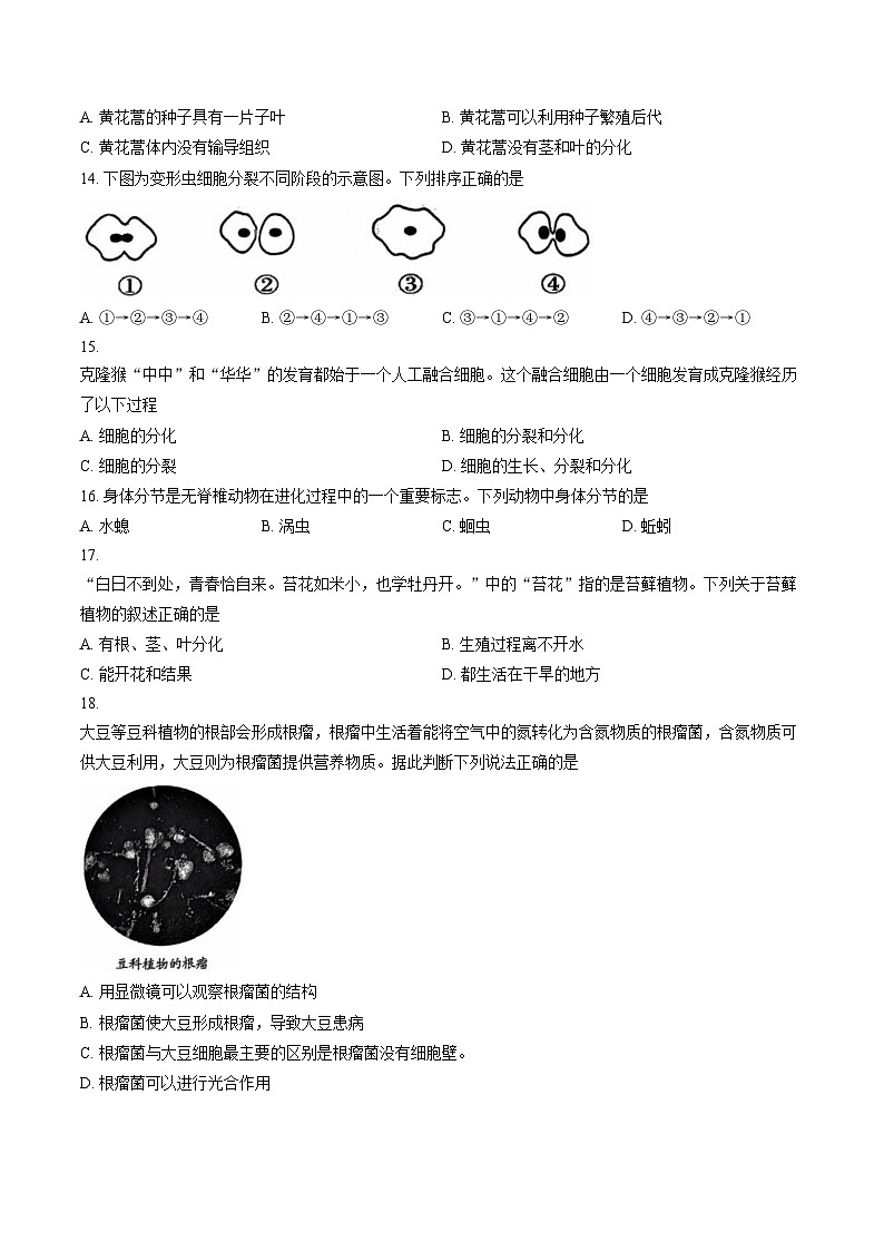 天津市西青区2025_2026学年七年级上学期期末生物试卷（文字版，含答案）第3页