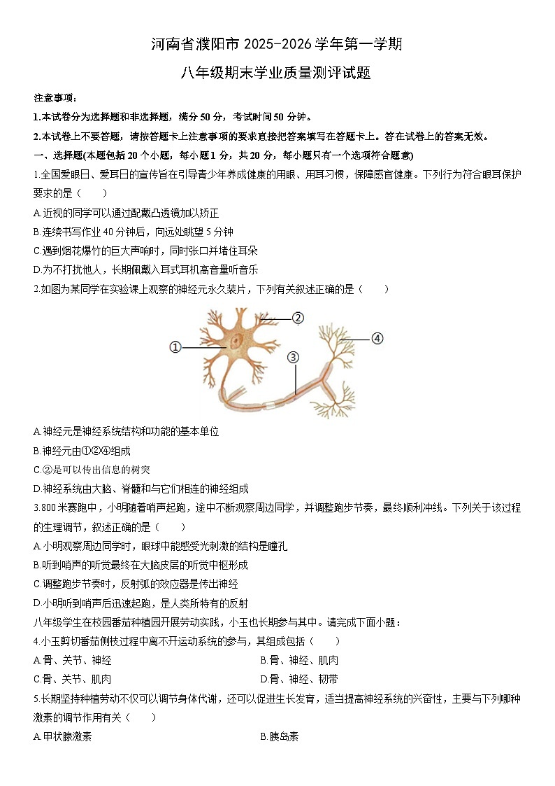 2025-2026学年河南省濮阳市第一学期八年级期末学业质量测评生物试卷（学生版）第1页