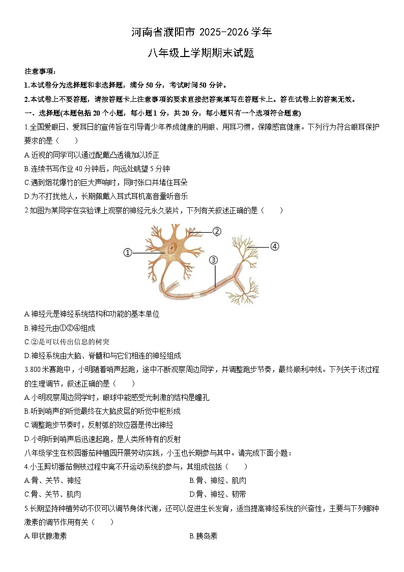 2025-2026学年河南省濮阳市八年级上学期期末生物试卷（学生版）第1页