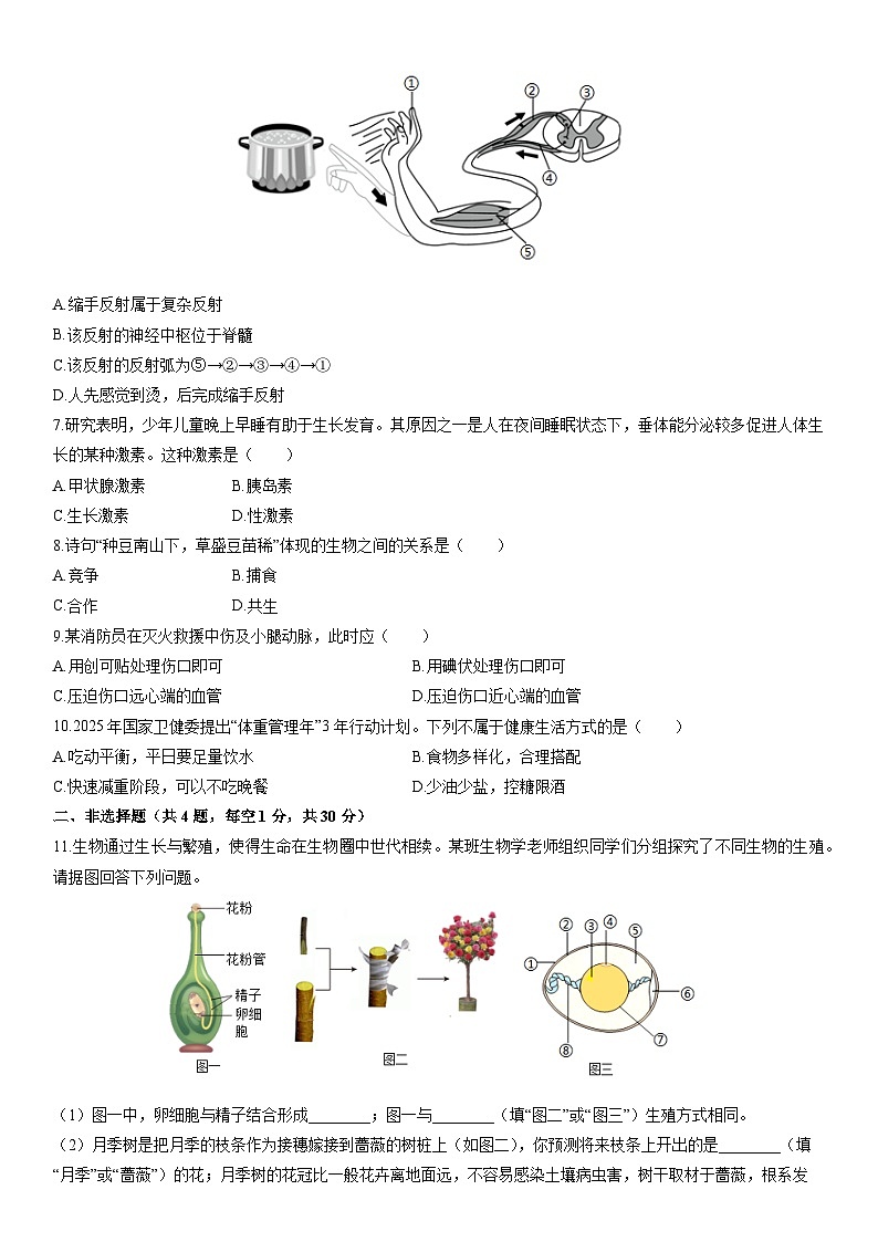 2025-2026学年湖北八年级上学期期末生物试卷（学生版）第2页