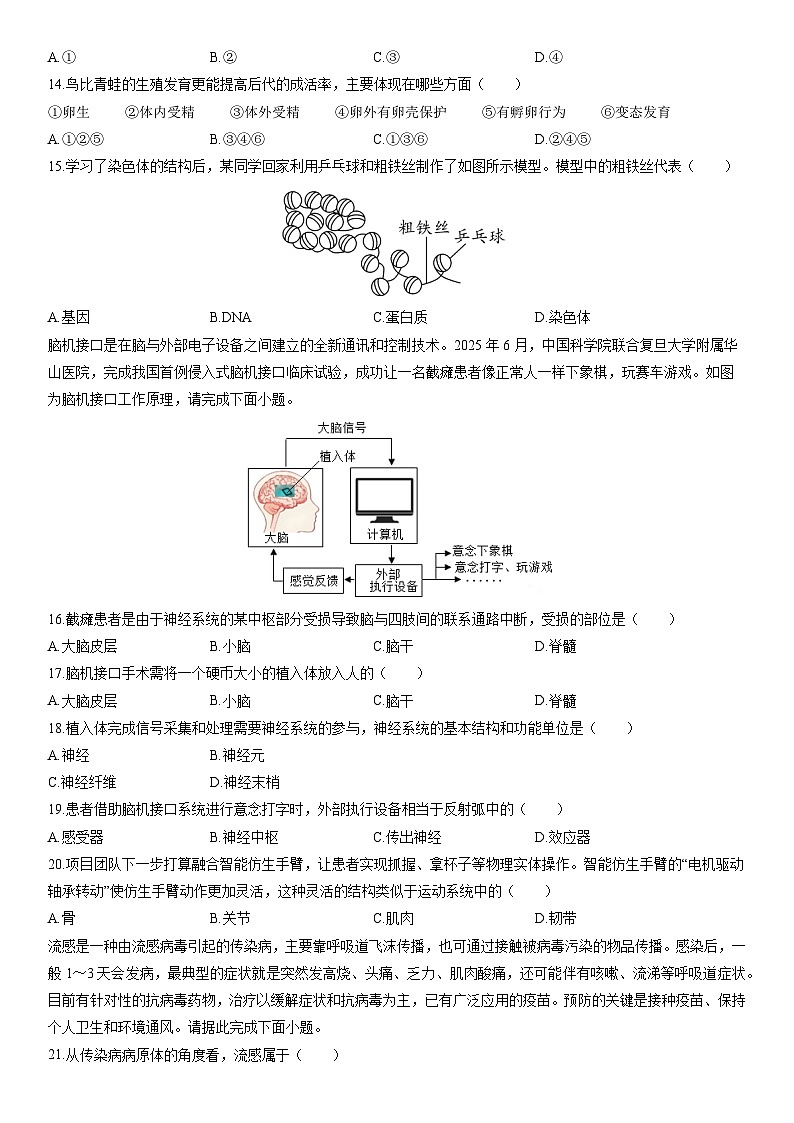 2025-2026学年广东省江门市第一学期义务教育质量监测八年级上期末生物试卷（学生版）第3页