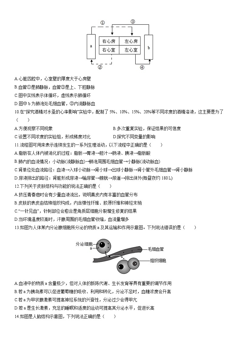 2025-2026学年山东省菏泽市曹县八年级上学期期末生物试卷（学生版）第3页