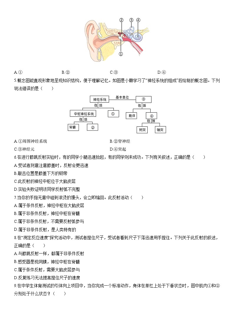 2025-2026学年山东省临沂市兰山区八年级上学期期末生物试卷（学生版）(2)第2页