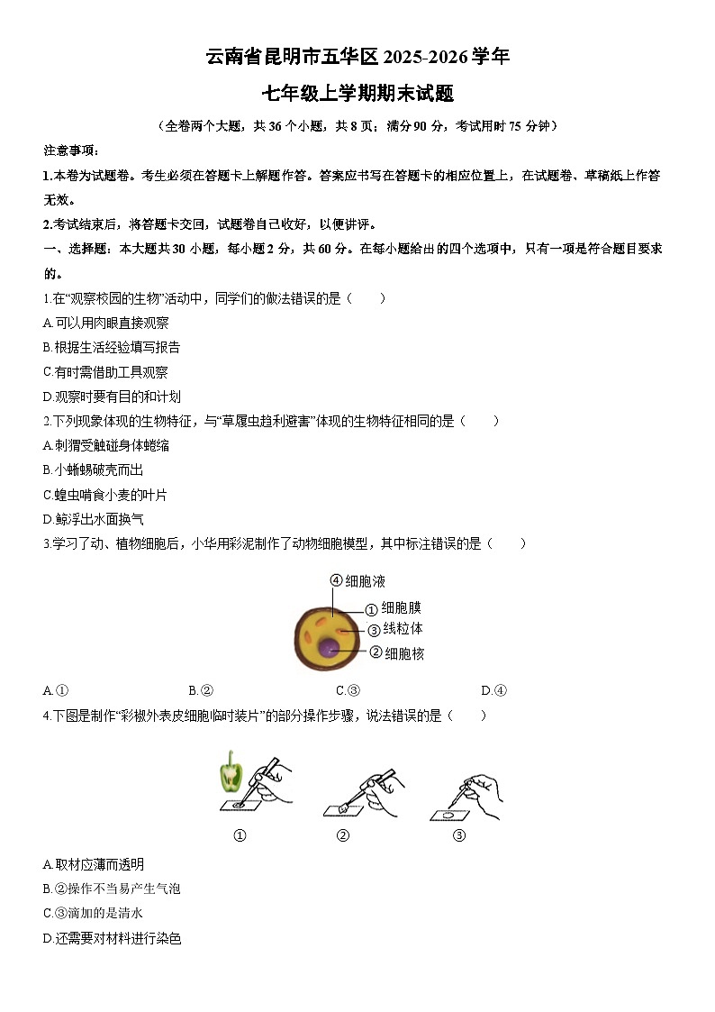 2025-2026学年云南省昆明市五华区七年级上学期期末生物试卷（学生版）第1页