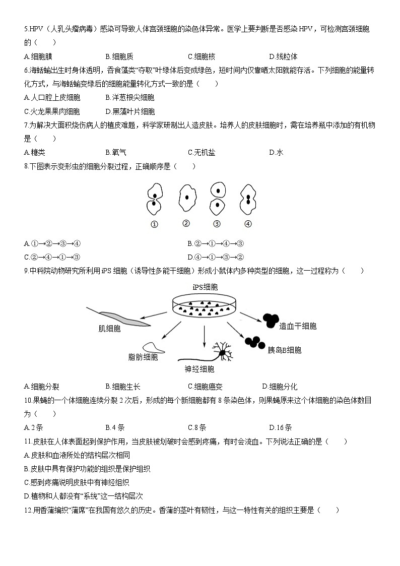 2025-2026学年云南省昆明市五华区七年级上学期期末生物试卷（学生版）第2页