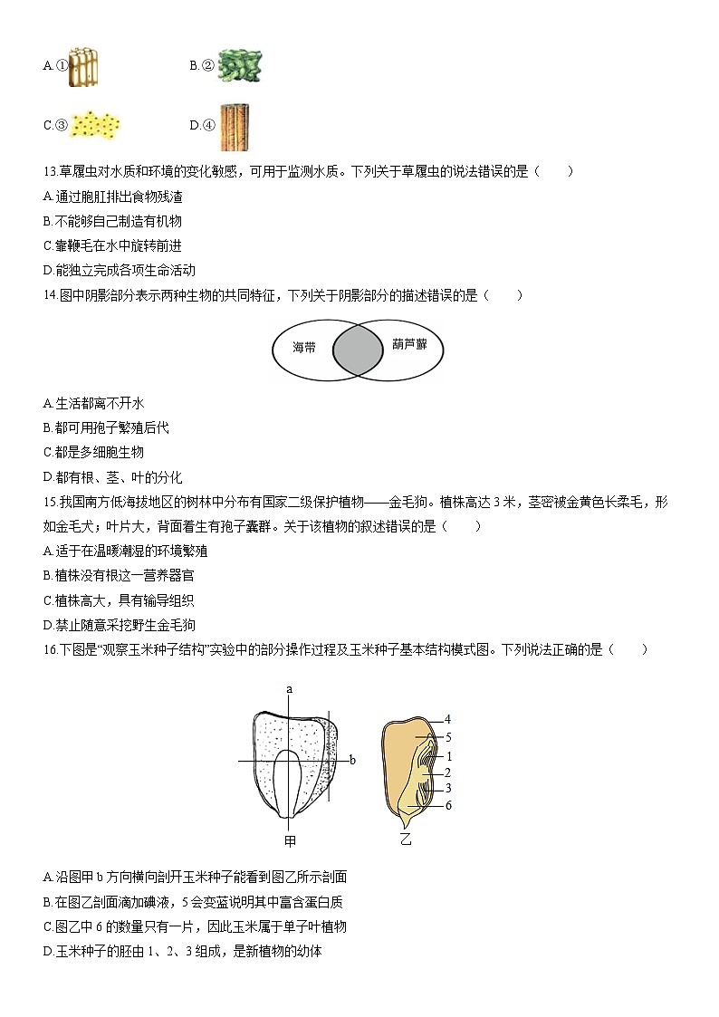 2025-2026学年云南省昆明市五华区七年级上学期期末生物试卷（学生版）第3页