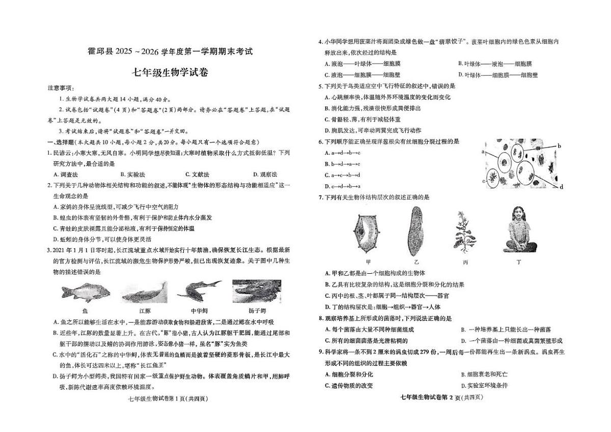 2025-2026学年安徽省六安市霍邱县七年级上学期2月期末考试生物试卷（含答案）第1页