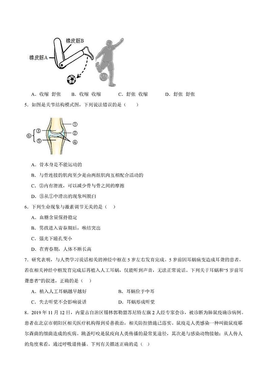 2025-2026学年安徽省池州市东至县部分学校八年级上学期2月期末考试生物试卷（含答案）第2页