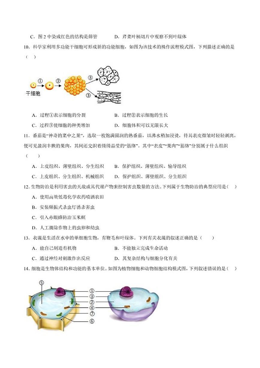 2025-2026学年江苏省扬州市仪征市七年级上学期期末测试生物（A卷）试卷（含答案）第3页