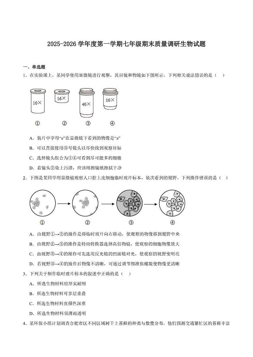 2025-2026学年安徽省合肥市琥珀中学等校七年级上学期1月期末考试生物试卷（含答案）第1页