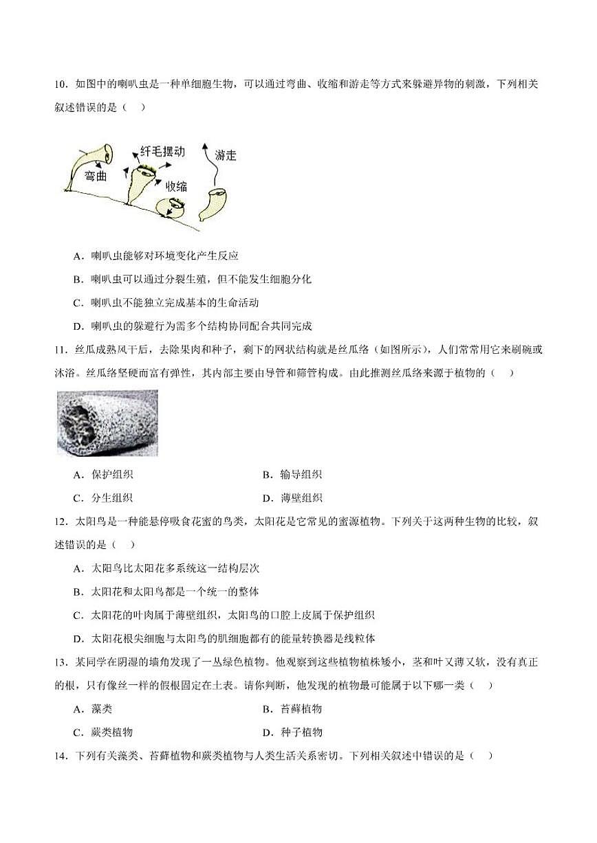 2025-2026学年安徽省合肥市琥珀中学等校七年级上学期1月期末考试生物试卷（含答案）第3页