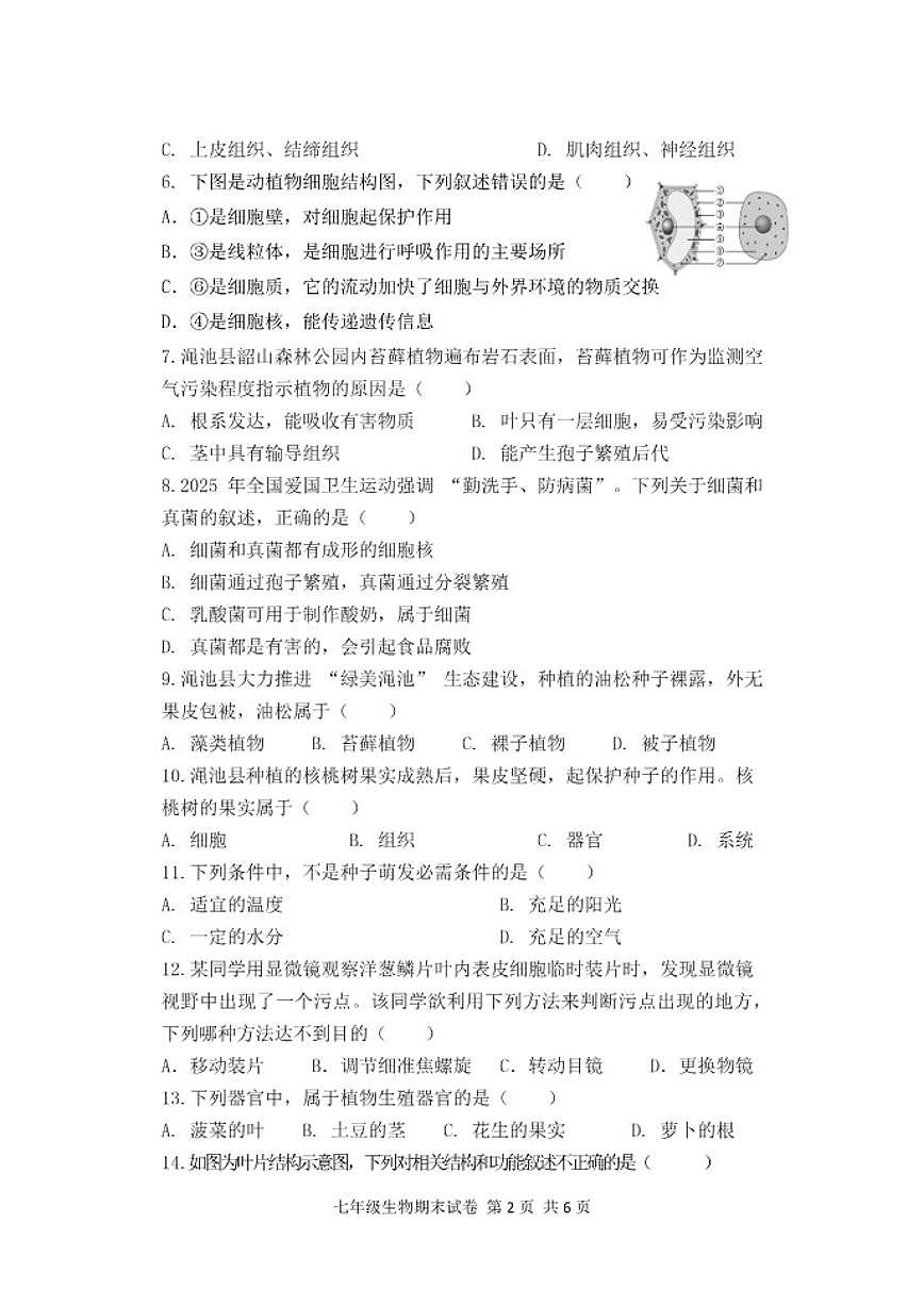 2025-2026学年河南省三门峡市渑池县七年级上学期期末生物试卷（含答案）第2页