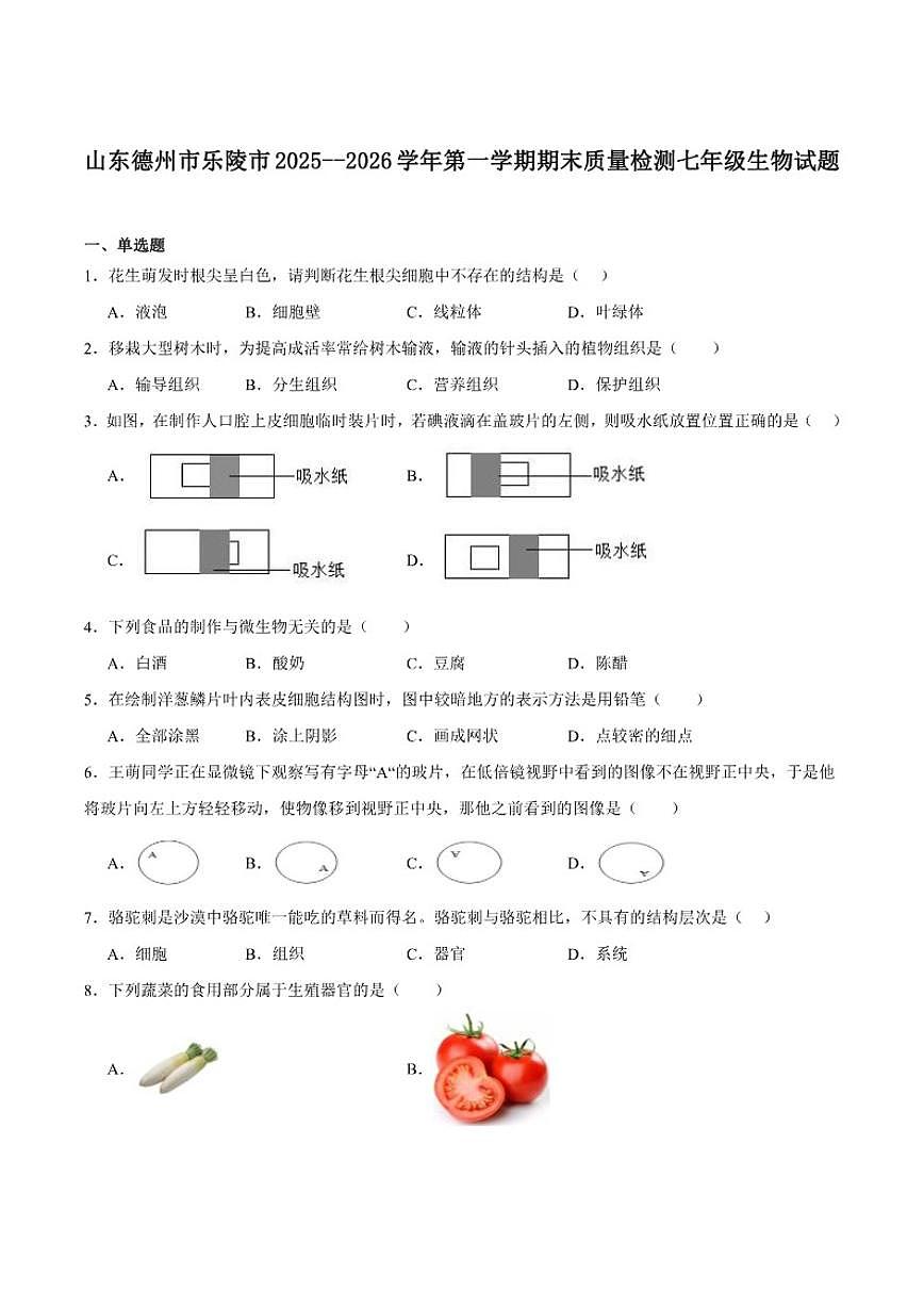 2025-2026学年山东省德州市乐陵市七年级上学期期末质量检测生物试卷（含答案）第1页