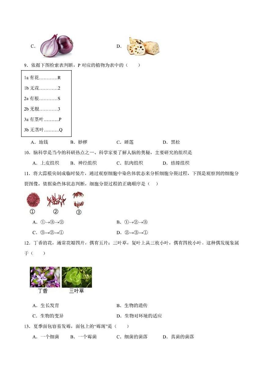 2025-2026学年山东省德州市乐陵市七年级上学期期末质量检测生物试卷（含答案）第2页