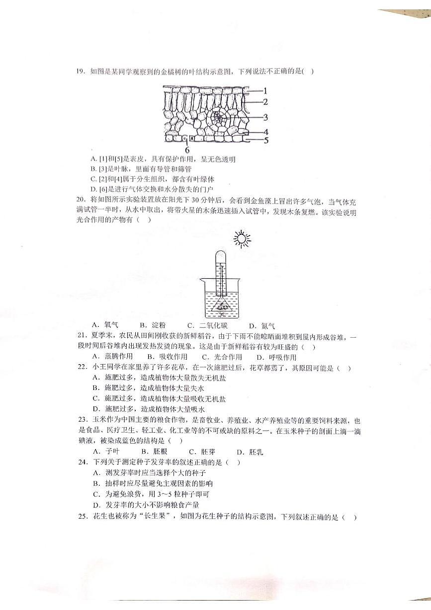 广东雷州市乌石中学2025-2026学年度第一学期期末阶段测评七年级生物试卷第3页