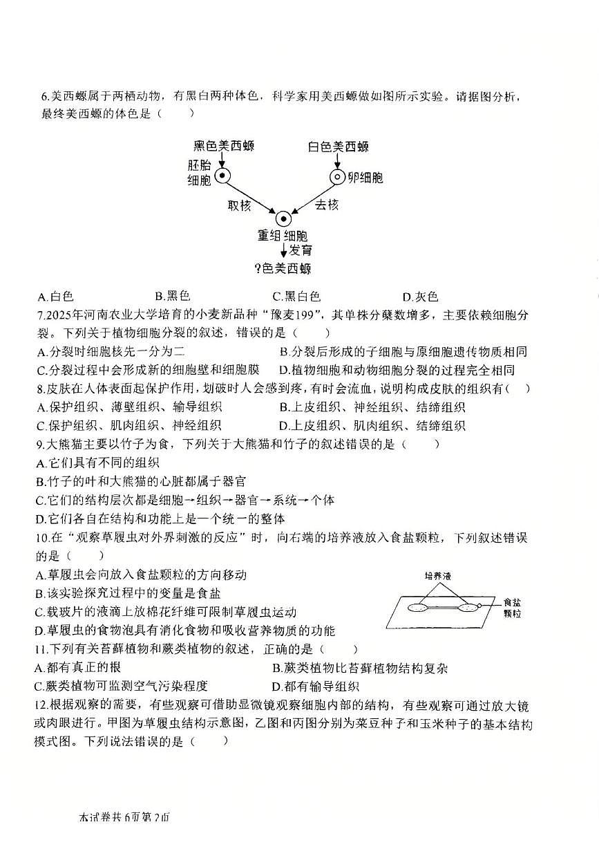 河南师范大学附属中学等校2025-2026学年第一学期七年级期末考试生物试卷第2页