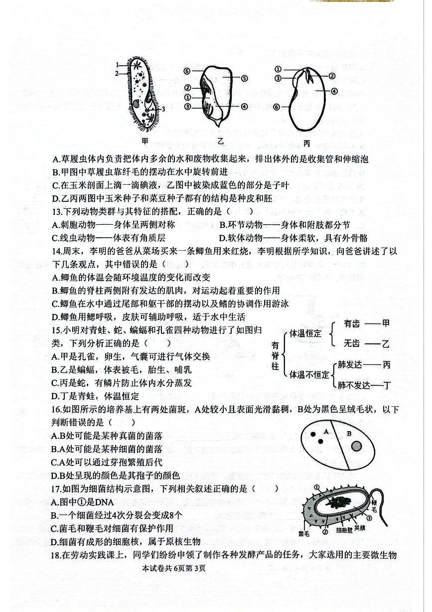 河南师范大学附属中学等校2025-2026学年第一学期七年级期末考试生物试卷第3页