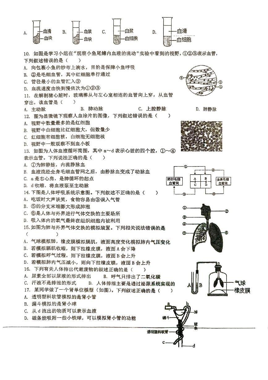 江苏沛县第三中学等校2025-2026学年八年级上学期期末考试生物试题第2页