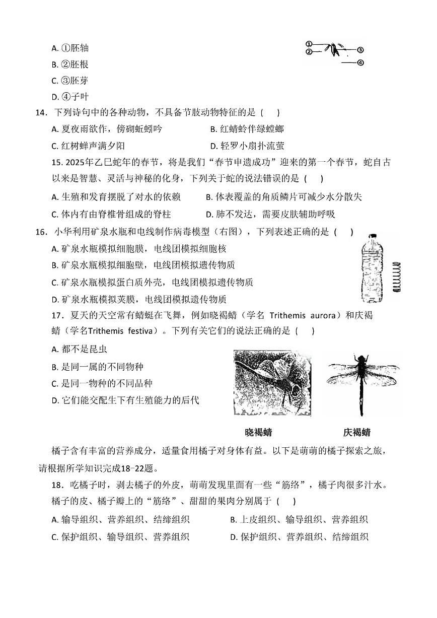 2025-2026学年广东省潮州市潮安区七年级上学期1月期末生物试题（含答案）第3页