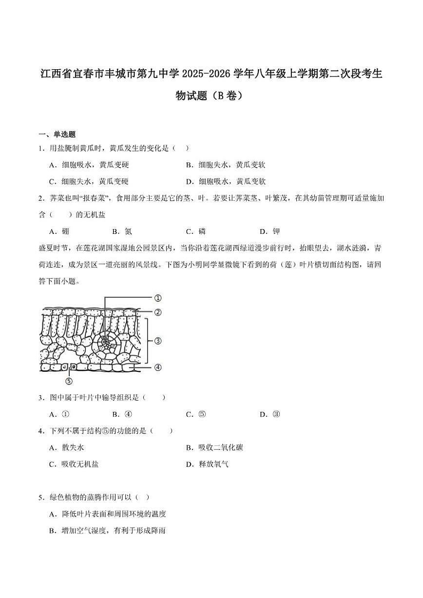 2025-2026学年江西省宜春市丰城市第九中学八年级上学期第二次段考生物（B）试卷（含答案）第1页
